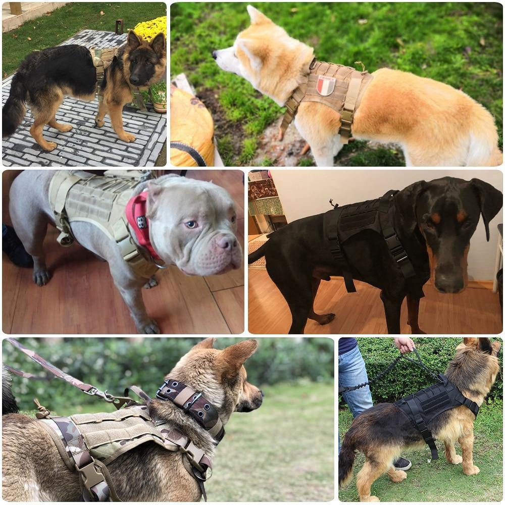 Quality Military Dog pet Strap Vest Handle Leash Harness - Mercy Abounding