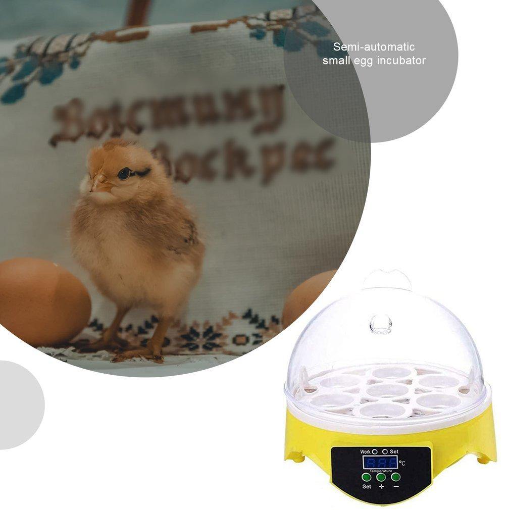 Egg Incubator Fully Automatic 16 Eggs/7eggs Digital Mini Brooder Small Chicken Bird Egg Incubator Automatic Farm Incubation Tool