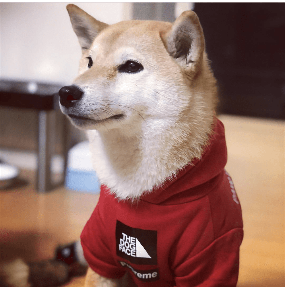 Adidog Warm Dog Pet Hoodie Clothes - Mercy Abounding