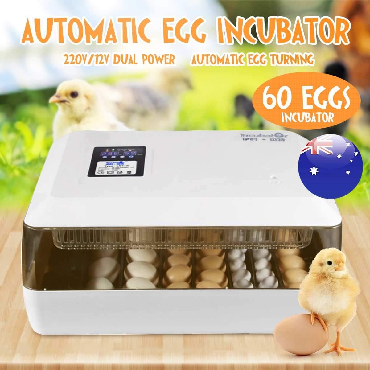 60 Eggs Incubator Hatcher Brooder Bird Quail Incubator Chick Hatchery Incubator Poultry Hatcher Turner Automatic Farm Tools
