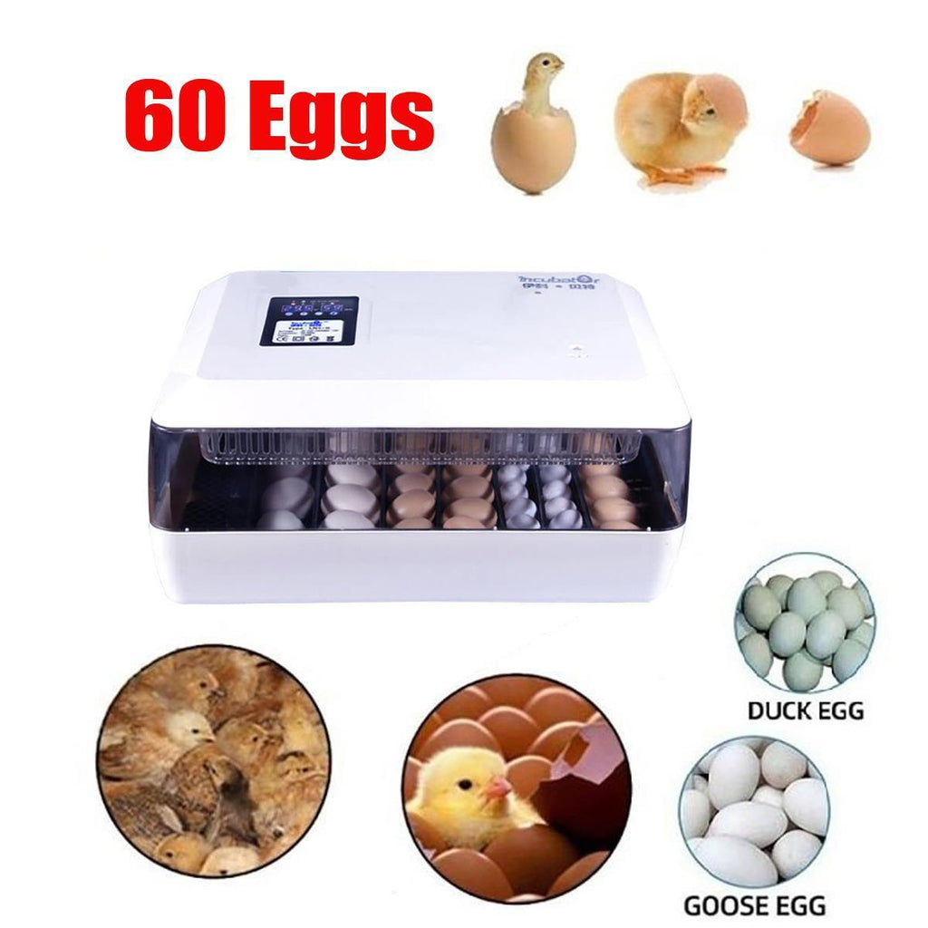 60 Eggs Incubator Hatcher Brooder Bird Quail Incubator Chick Hatchery Incubator Poultry Hatcher Turner Automatic Farm Tools