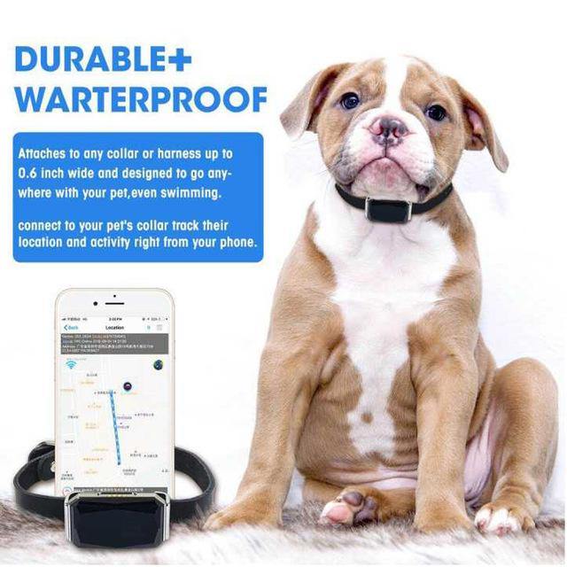 Waterproof  Pet Animal Collar GPS Tracker IP67 - Mercy Abounding