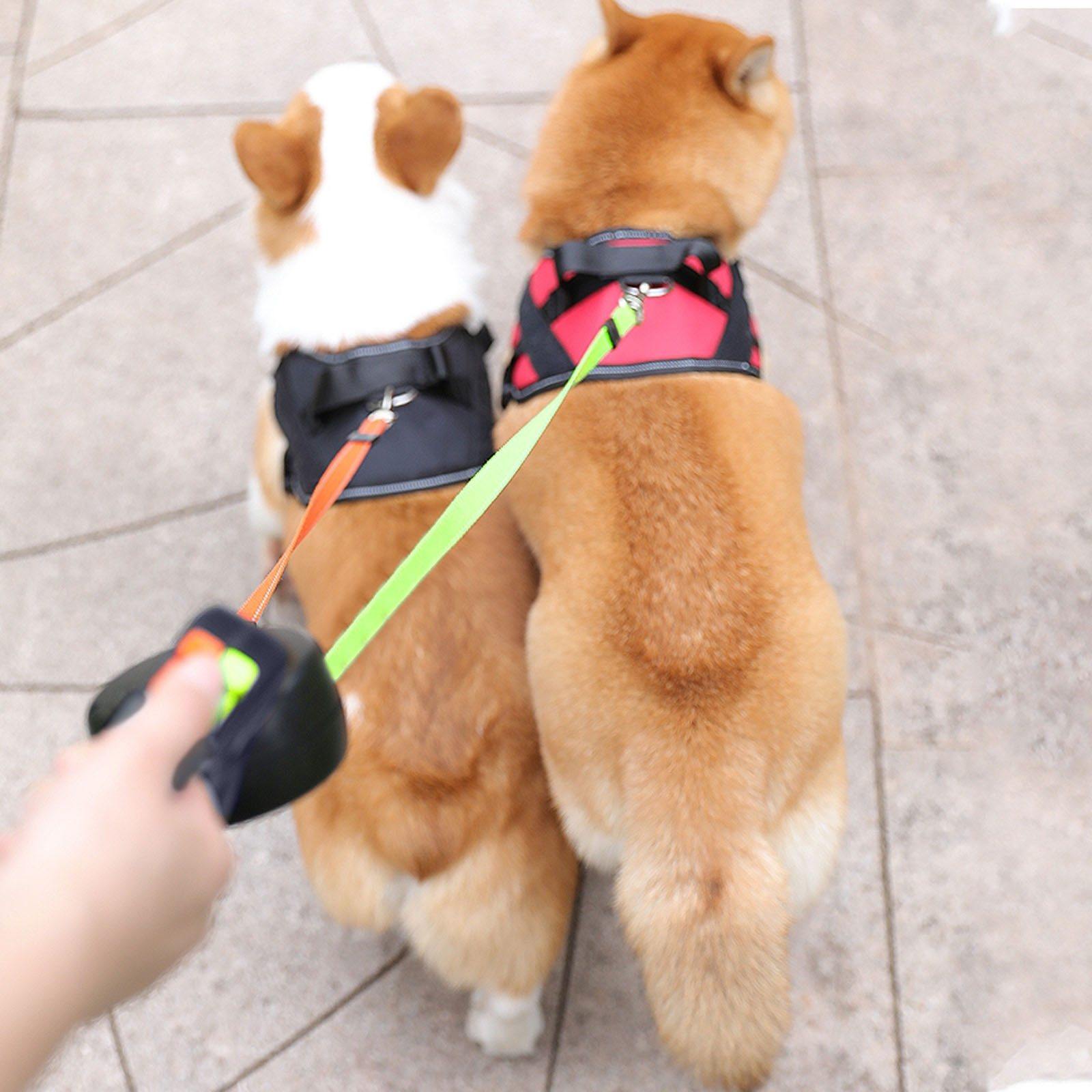 Pet Dual Retractable Dog Walk Rope - Mercy Abounding