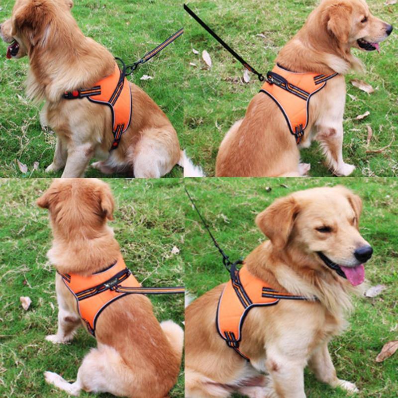 Breathable Safety Pets Dog Vest Handle Control Strap Harness - Mercy Abounding
