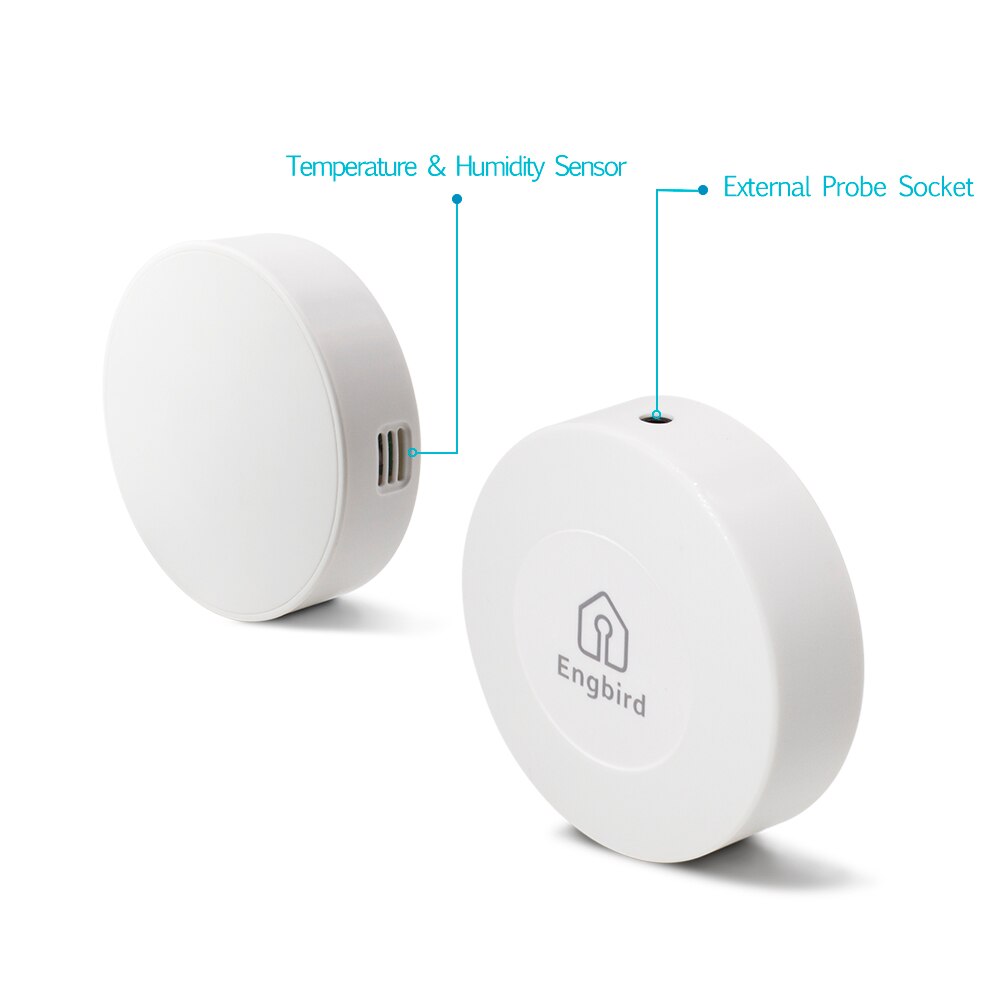 Wireless Bluetooth Thermometer & Hygrometer Frood Brewing Storage