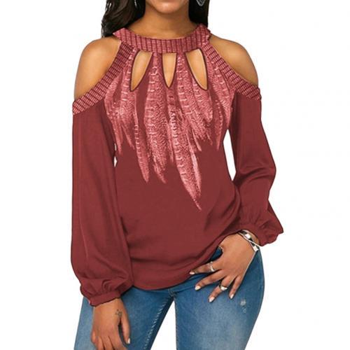 Elegant Women Cold Shoulder Long Sleeve Blouse Round Neck