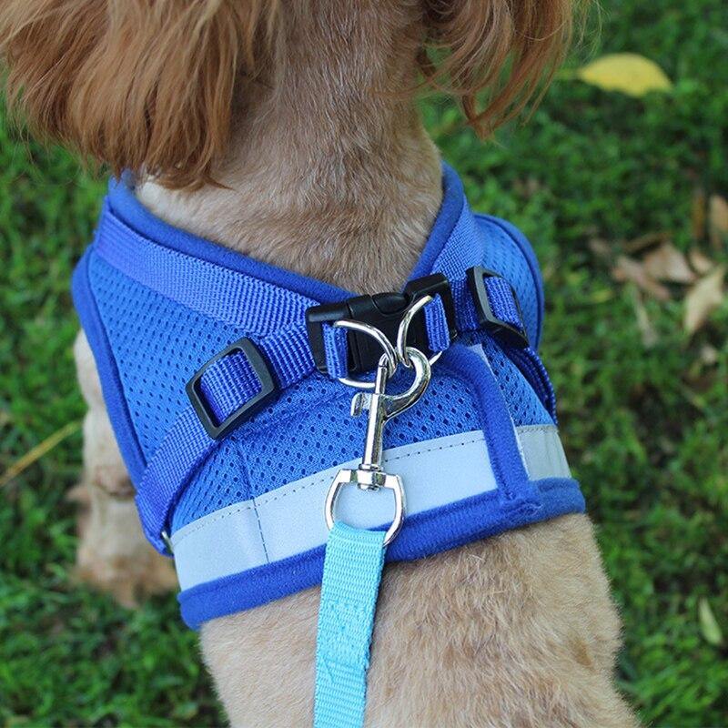 Safety Pet Dog Puppy Harness Leash Set Vest Chest Strap - Mercy Abounding
