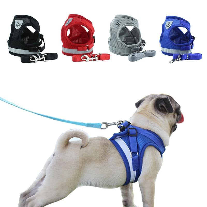 Safety Pet Dog Puppy Harness Leash Set Vest Chest Strap - Mercy Abounding