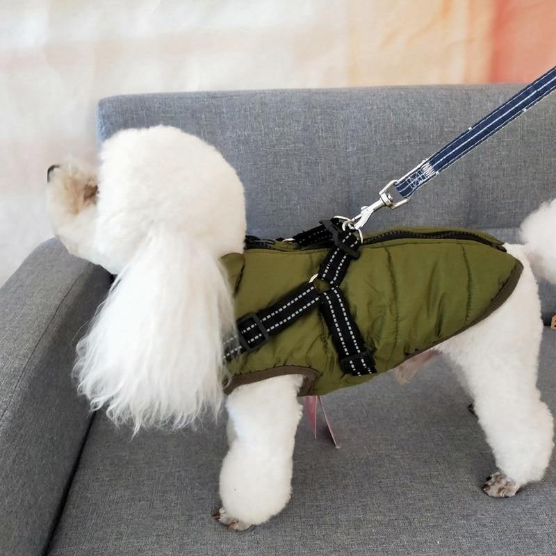 Quality Dog Pet Training Coat Sleeveless Cotton Strap Harness Clothes - Mercy Abounding