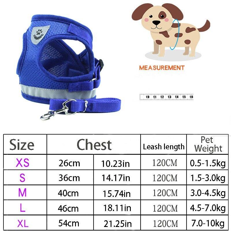 Safety Pet Dog Puppy Harness Leash Set Vest Chest Strap - Mercy Abounding