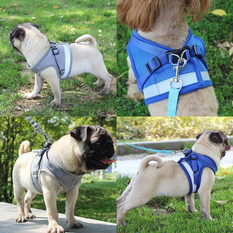 Safety Pet Dog Puppy Harness Leash Set Vest Chest Strap - Mercy Abounding