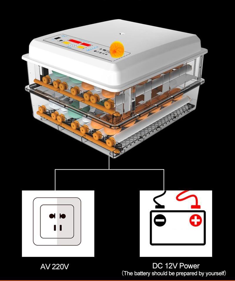 220V/12V Eggs Incubator Brooder Bird Quail Chick Hatchery Incubator Poultry Hatcher Turner Automatic Farm Incubation Tools