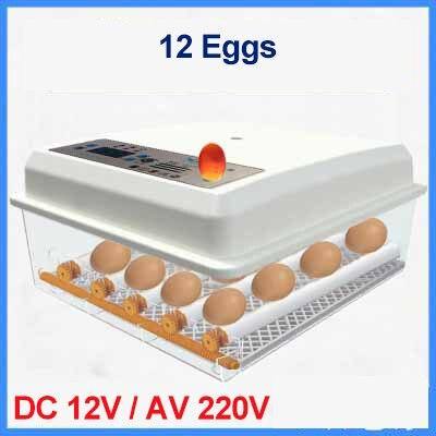 220V/12V Eggs Incubator Brooder Bird Quail Chick Hatchery Incubator Poultry Hatcher Turner Automatic Farm Incubation Tools