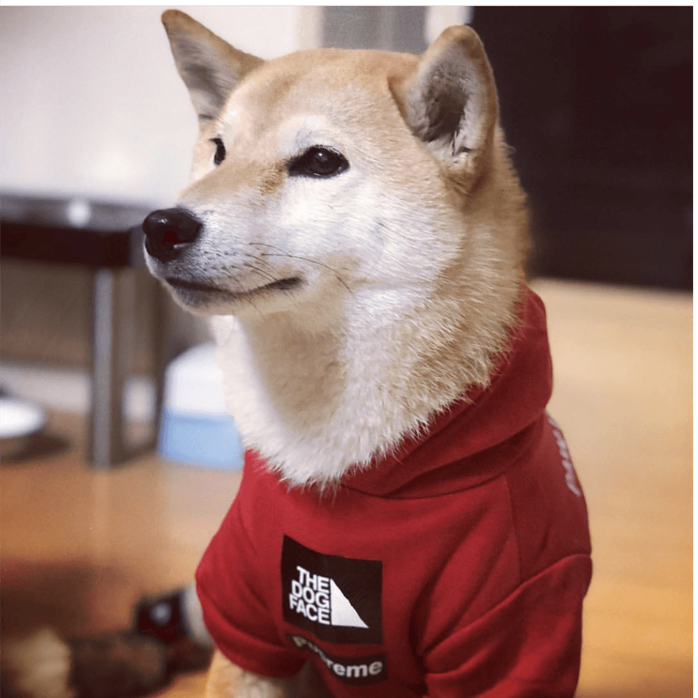Adidog Warm Dog Pet  Hoodie Clothes - Mercy Abounding