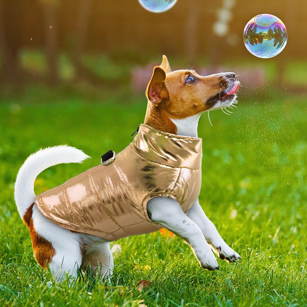 Waterproof Dogs Pet  Winter Warm Jacket Clothing - Mercy Abounding