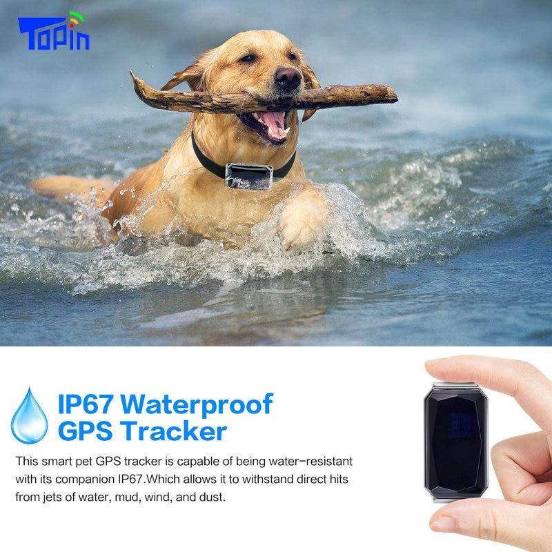 Waterproof  Pet Animal Collar GPS Tracker IP67 - Mercy Abounding