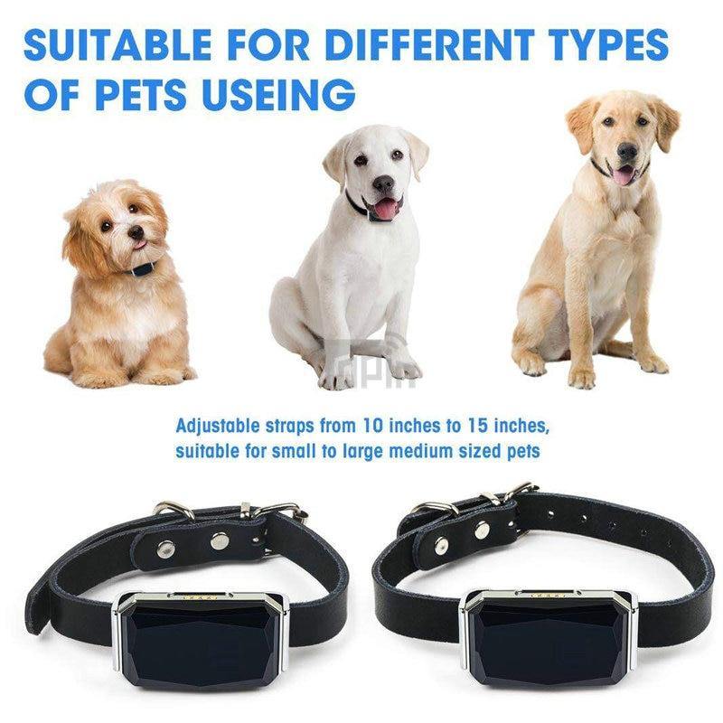 Waterproof  Pet Animal Collar GPS Tracker IP67 - Mercy Abounding