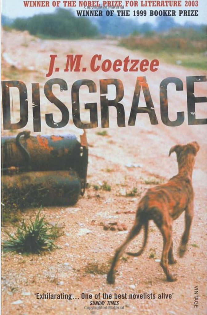 Disgrace: A BBC Between the Covers Big Jubile Paperback